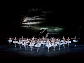 Artists of The Royal Ballet in Swan Lake ©ROH. Photographed by Bill Cooper.